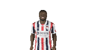 Tricolores Kingside Sticker by Willem II