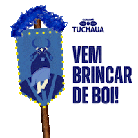 Caprichoso Parintins Sticker by Grupo Simões