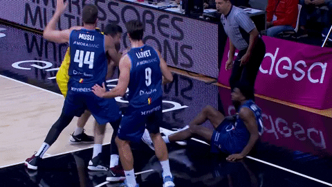 Liga Endesa Basketball GIF by ACB