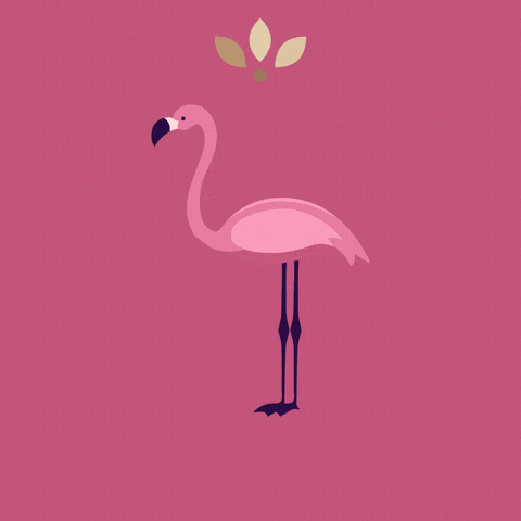 Pink Be Free GIF by Aloha