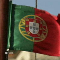 Portugal Flag GIF by FIA World Rally Championship