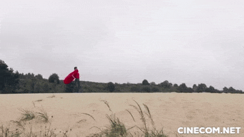 Cinecom  GIF