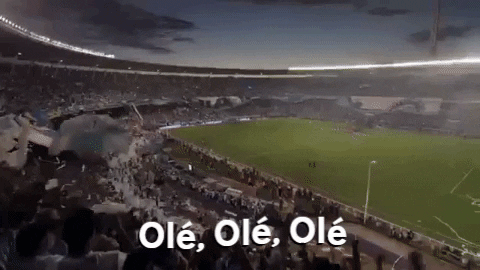 nuskin giphygifmaker football soccer win GIF