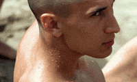 Claire Denis GIF by Coolidge Corner Theatre