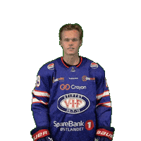 Reis Meld Sticker by VIF Hockey