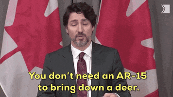 Justin Trudeau GIF by GIPHY News