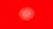 GIF by alanj saffron