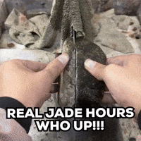 China Jade GIF