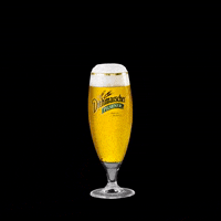 dithmarscher_brauerei beer crown king german GIF