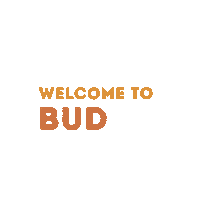 budapestairport utazas budapestairport reptér budgifs Sticker