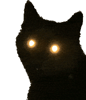 Black Cat Sticker