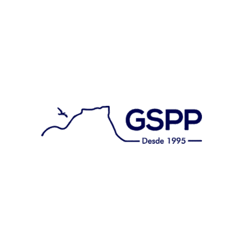 gsppconsultoria giphyupload atitude gspp Sticker