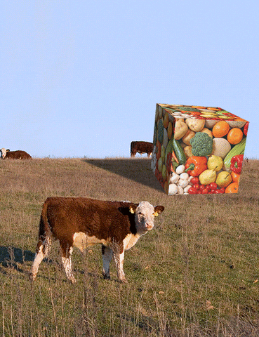 Vegan Cow GIF by joeburger