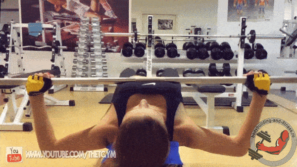 bodybuilding-and-fitness giphyupload grif zhim GIF