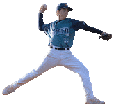 Marco Pitch Sticker by Senago Baseball