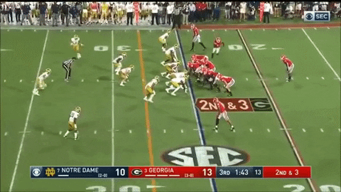dskevin giphygifmaker GIF