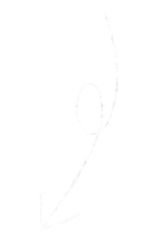Arrow Sticker