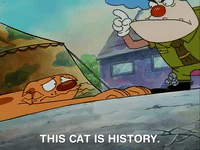nicksplat GIF
