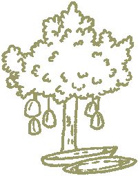 VabaliSpa wellness tree spa sauna Sticker