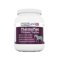 bettalife horses horsefeed bettalife horsesupplement Sticker