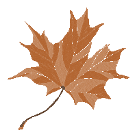 victoriacodesign fall autumn tree leaf Sticker