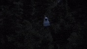sci-fi et GIF by MANGOTEETH