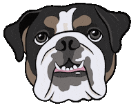 British Bulldog Squishy Face Sticker by Es Super Fun