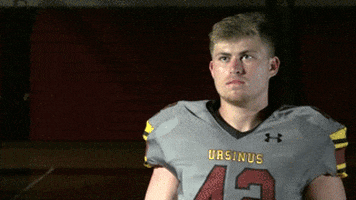 ursinusbears giphyupload ursinusbears GIF