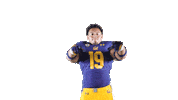 Ncaa Football Go Bears Sticker by Cal Athletics