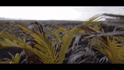 scared oh boy GIF