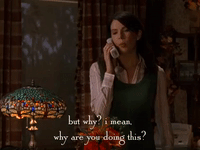 season 5 netflix GIF by Gilmore Girls 