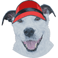 Dog Rainbow Sticker