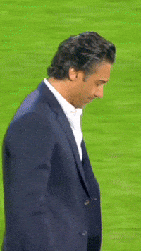 Mehdibadem blue red taj persepolis GIF