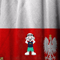 Poland Flags GIF by Zhot