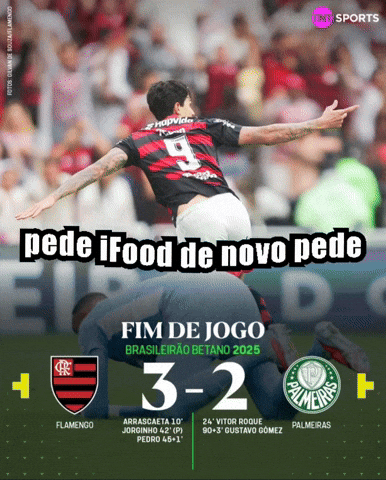 Palmeiras GIF