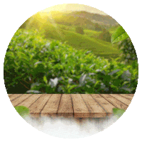 mevlanacay çay turkish tea çay saati türk çayı Sticker