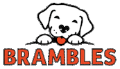 Bramblespet ice cream dog treats dog treat pet brand Sticker