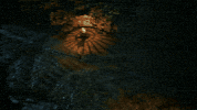 Vampire Goth GIF by Dawnwalker
