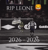 Blur Leone GIF