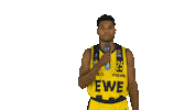 Ewe Baskets Basketball Sticker by EWE Baskets Oldenburg