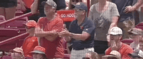 World Series Baseball GIF by NCAA Championships