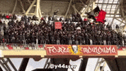 Mco Wahren GIF