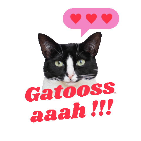 In Love Cat Sticker by Gatooss