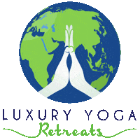 World Travel Sticker by Radiant Hot Yoga