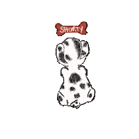 trulyshea boho trulyshea truly shea Sticker