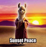 Wisdom Present Moment GIF by dalaillamazen