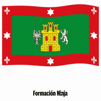 Flag Spain GIF by Formación Ninja