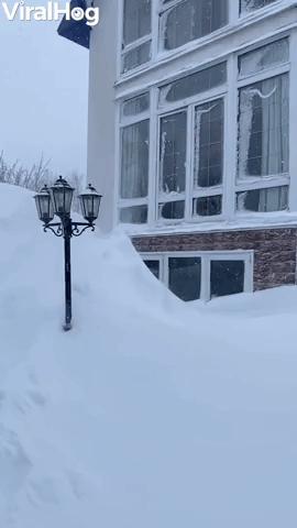 Man Leaps Into Giant Snow Pile
