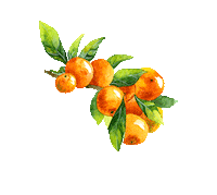 Orange County Florida Sticker by ocfl