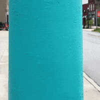 violetmaimbourg cannonball manorofanimals violetmaimbourg GIF